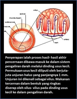 proses usus 4