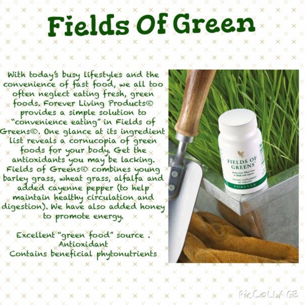 43b1385a7515efa511b838663a39f271