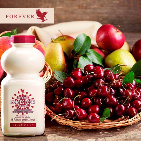 FB_IMG_1543446833832