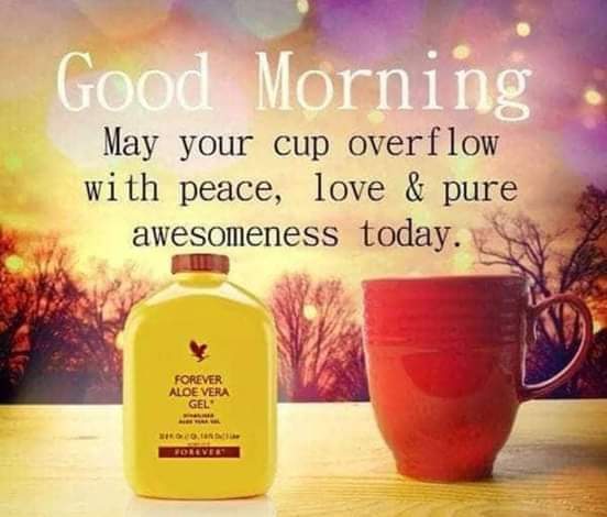 FB_IMG_1546124071654