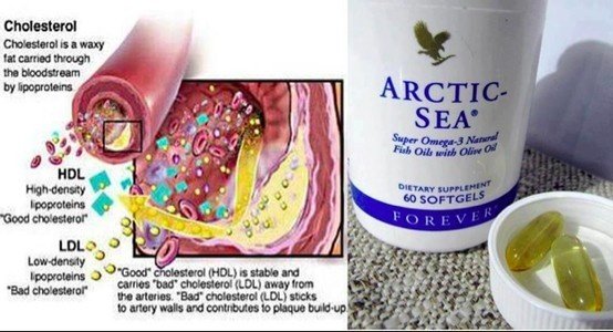 Forever-Arctic-Sea-Review-2